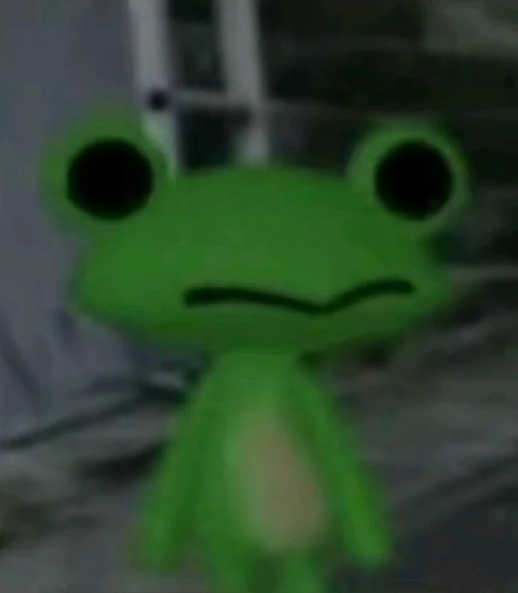 picture of me spiritually (a frog meme)